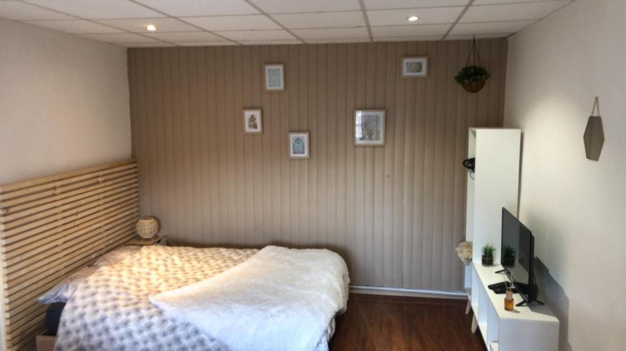 Ferienwohnung Le Printemps De Melusine Niort Exterior foto